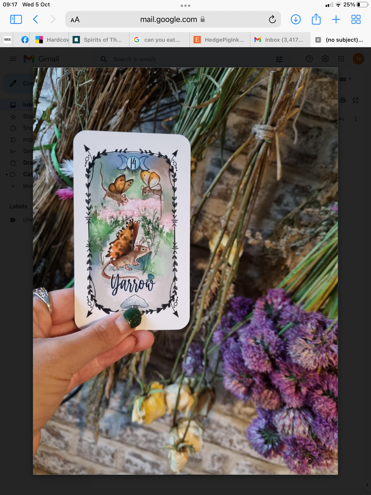 Spirits of the Hedgerow Oracle deck